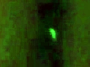 Brunette babe sucks and fucks in POV homemade style! 😏