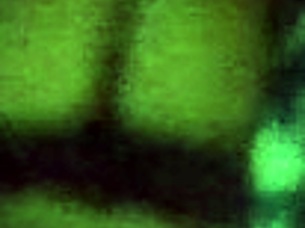 Wow, check this retro voyeur flick from 2014!