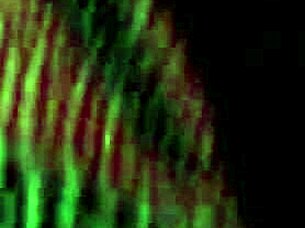 i took a pic on july 30 2016