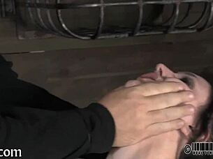 i putted four gals in my petite cage