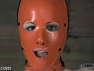 i putted four gals in my petite cage