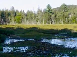 Redhead researcher gets big tits sucked by brunette woman outdoors
