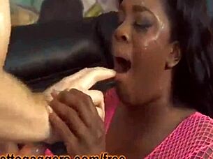 Samone Taylor's Musical Journey Through Compilations