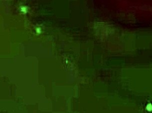 couple relaxes on sofa