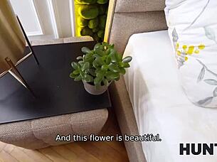 Cute Brunette Bridgette Sucks Cock Hard.