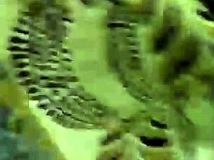 a live session featuring oral activities