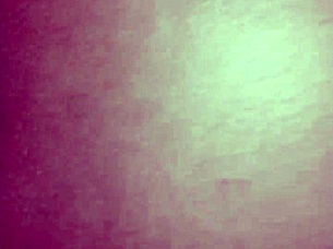 i visit my ex for a chat in the park