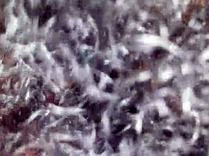 amateur video featuring everyday people in casual settings with simple activities