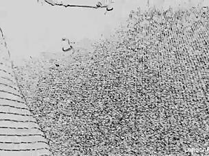 londons fun sacramento trip final day 3 with solo relaxation