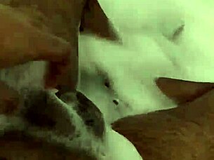 i've had the best masturbation yet