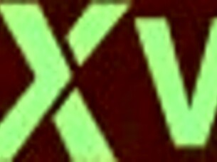 Black Thong Tease And Wanking Session