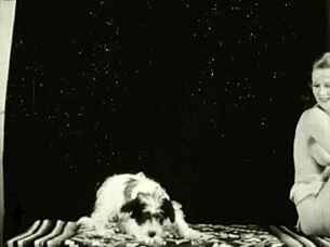 Dark Lantern's Erotic Confessions With Animals