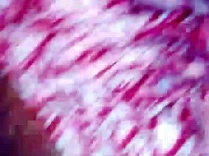 aunt spending time outside with family