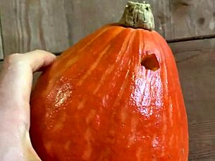 Pumpkin fucker uses big toys creatively