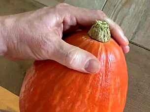 Pumpkin fucker uses big toys creatively