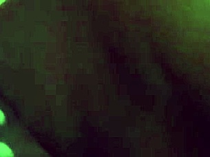 Secretaria teen 18+ sexy in office fantasy. She handles tasks with a twist.