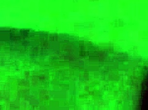 Best Cock Sucking Techniques Ever Experienced