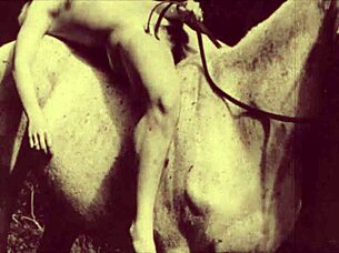 Vintage taboo pussy and pooch in outdoor setting