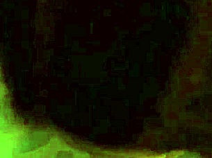 Intimate Encounter In Hotel