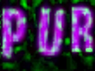 chloe cherry takes on hardcore double penetration in wild group action.