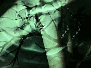 I remember that vintage swinging London interracial threesome, it was so hardcore with hairy babes