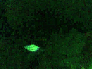 girlfriend, what are you doing with my friend?