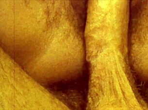 my secret vintage taboo blowjob with hairy family