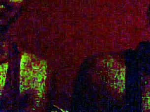 Tristina Millz Discusses New Porn Regulations and Public Opinions