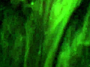 pussy play with toys and vibrator