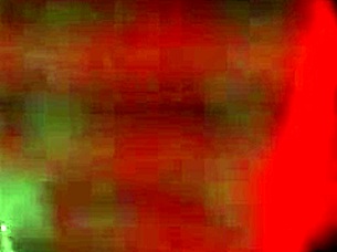 PERFECT RUSSIAN UNIVERSITY GIRL GIVES THE BEST ORALS, WHO IS SHE THIS EVA ELFIA?