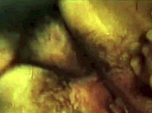 dark lantern's dragonfly blowjob scene