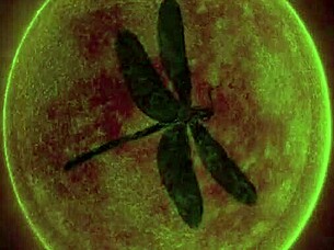 dark lantern's dragonfly blowjob scene