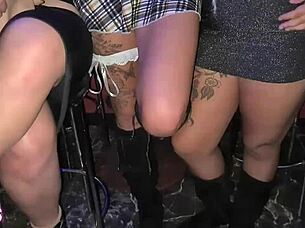 the party got wild at the swing house, everyone free