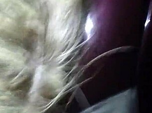 Submissive sucks in humiliating BDSM!