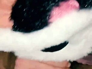 Wife sucks neighbor's big cock until creampie