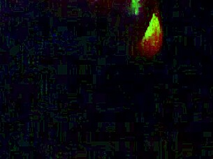 Ebony swallows monster cock intensely