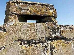 Naked Woman Travels Outdoors In Public