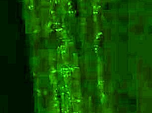 joseline gets finger fucked hard by neighbor in and out her pussy