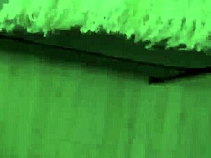 cory chase in your family room