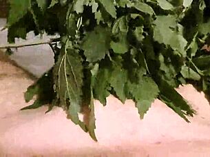 nettle play feels so intense and thrilling