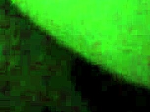 Can You Handle This 19 Year Old's Big Ass?