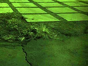 Tiny Teen Feels Intense Anal Pleasure.