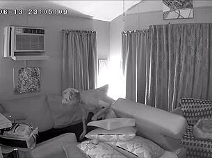 damn, i caught my air bnb hostess cleanin' in just panties!