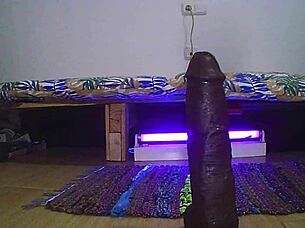 Exploring Anal Pleasures With Toys And Intense Assfucking In Amateur Session