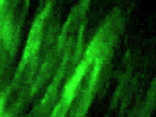 Harmony eagerly sucks Eefah's big black cock