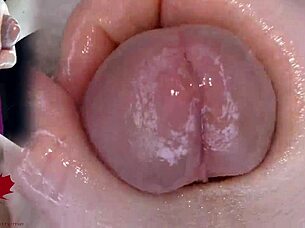 Super close-up urethral dilator game