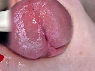 Super close-up urethral dilator game