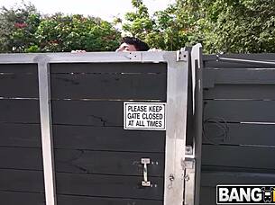 Chloe Amour catches creampie from Peter Fitzwell and Ethan Seeks