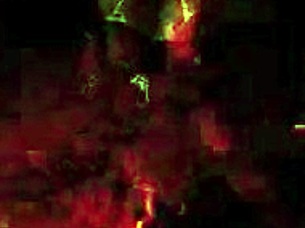 Vintage Family Taboo A Dirty Weekend With Hairy Retro Holiday