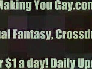 i found all yur gay porn hidin on yur compooter